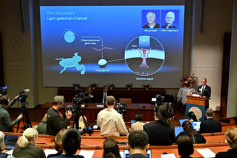 I membri dell’Assemblea Nobel annunciano i vincitori del Premio Nobel per la Fisiologia o la Medicina 2026 durante una conferenza stampa tenutasi presso l’Istituto Karolinska di Stoccolma, in Svezia, il 5 ottobre 2026. Il Premio Nobel per la Fisiologia o la Medicina del 2026 è stato assegnato congiuntamente a Karl Deisseroth, Peter Hegemann e Georg Nagel «per le loro scoperte relative ai canali ionici sensibili alla luce e all’optogenetica», secondo quanto dichiarato dal Comitato Nobel. EPA/PONTUS LUNDAHL SVEZIA OUT (EPA)