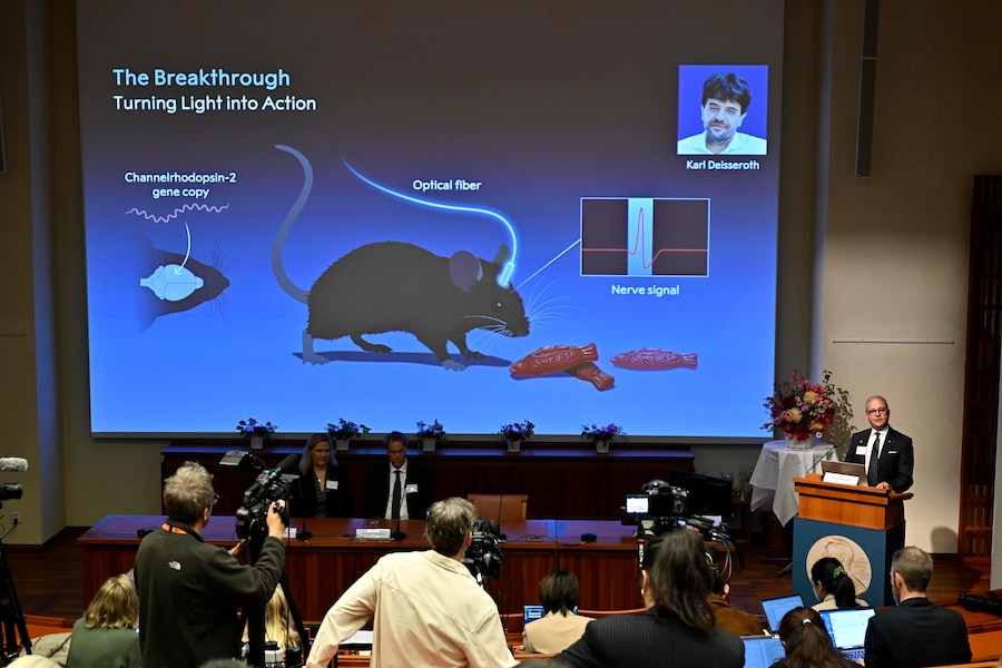 I membri dell’Assemblea Nobel annunciano i vincitori del Premio Nobel per la Fisiologia o la Medicina 2026 durante una conferenza stampa tenutasi presso l’Istituto Karolinska di Stoccolma, in Svezia, il 5 ottobre 2026. Il Premio Nobel per la Fisiologia o la Medicina del 2026 è stato assegnato congiuntamente a Karl Deisseroth, Peter Hegemann e Georg Nagel «per le loro scoperte relative ai canali ionici sensibili alla luce e all’optogenetica», secondo quanto dichiarato dal Comitato Nobel. EPA/PONTUS LUNDAHL SVEZIA OUT (EPA)