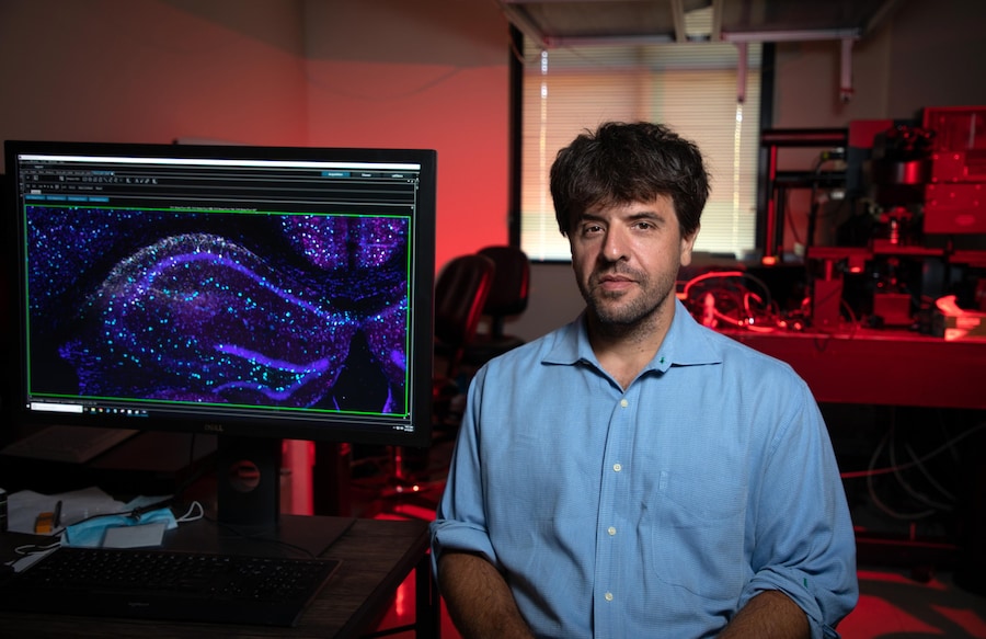 Una foto fornita dall’Università di Stanford mostra lo scienziato e medico statunitense Karl Deisseroth mentre posa per un ritratto nel suo laboratorio CNC presso la Facoltà di Medicina dell’Università di Stanford a Palo Alto, in California (USA), il 10 agosto 2021 (pubblicato il 5 ottobre 2026). Il Premio Nobel 2026 per la Fisiologia o la Medicina è stato assegnato congiuntamente a Karl Deisseroth, Peter Hegemann e Georg Nagel «per le loro scoperte relative ai canali ionici sensibili alla luce e all’optogenetica», secondo quanto dichiarato dal Comitato Nobel. EPA/JIM GENSHEIMER/ STANFORD MEDICINE HANDOUT (EPA)