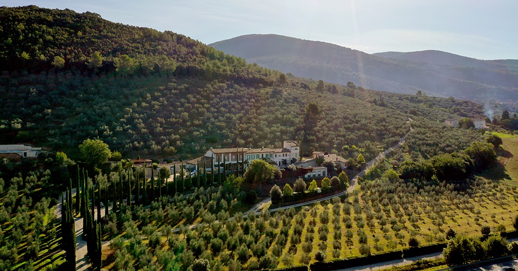 Impresa di famiglia umbra. Il frantoio del Poggiolo centro di produzione 