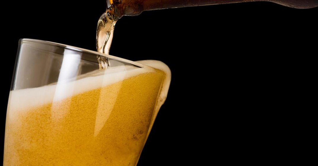 Brewdog the end of history il sole 24 ore