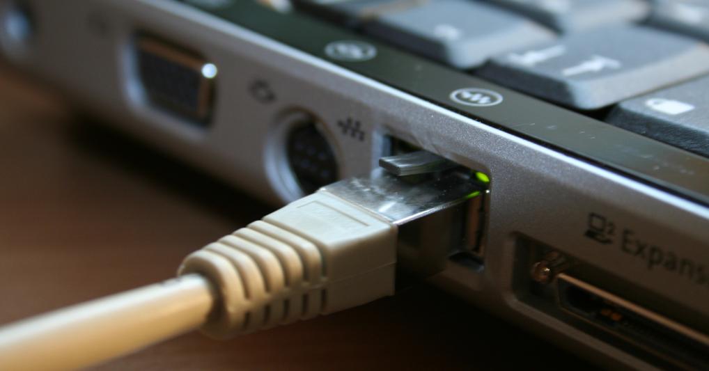 (Stéphane SYN - stock.adobe.com)