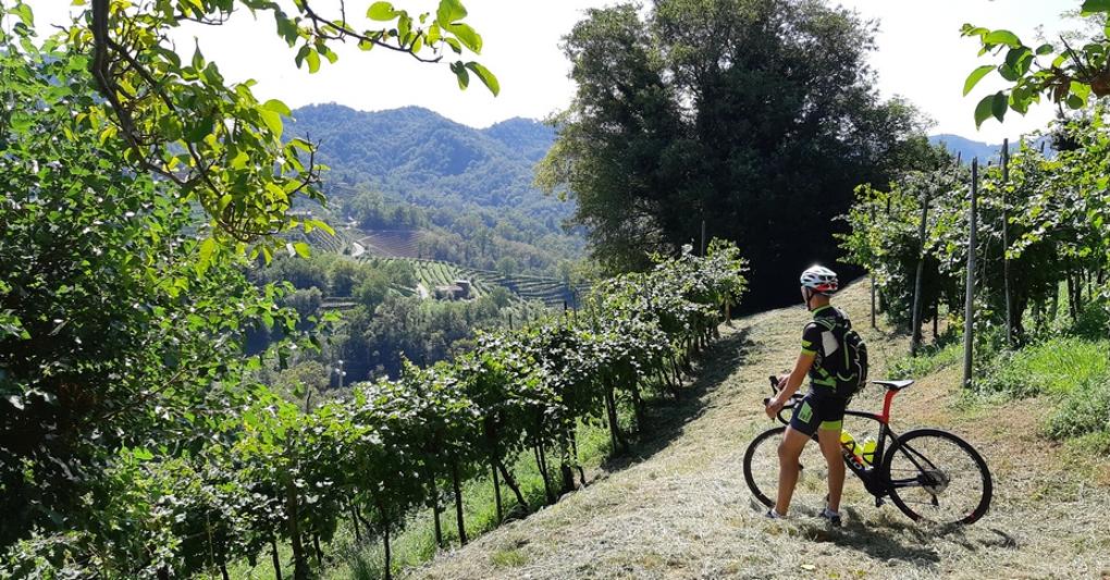 (Foto Mariateresa Montaruli, Ladra di biciclette) 