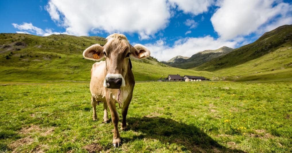 Livigno Il Sole 24 ORE