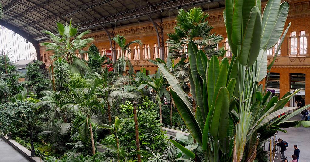 L’atrio vegetale della stazione dei treni di Atocha 