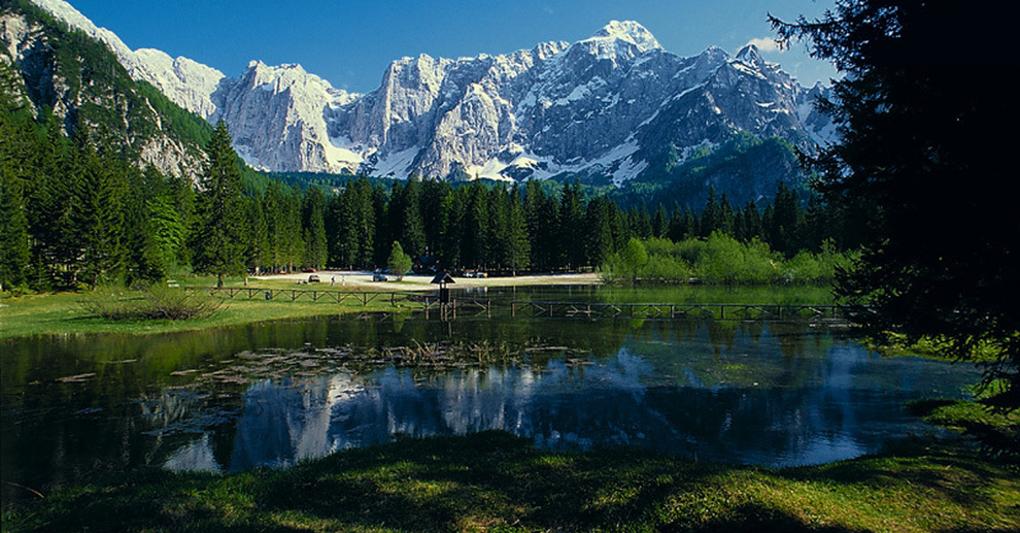 Foresta di Tarvisio - Laghi di Fusine 