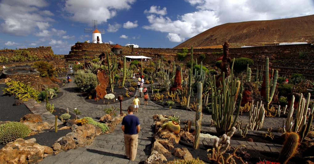 Lanzarote, Guatiza Jardín de Cactus © Ente Spagnolo del Turismo 