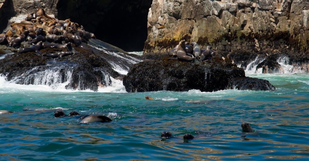 (Carlos Ibarra / PROMPERÚ)