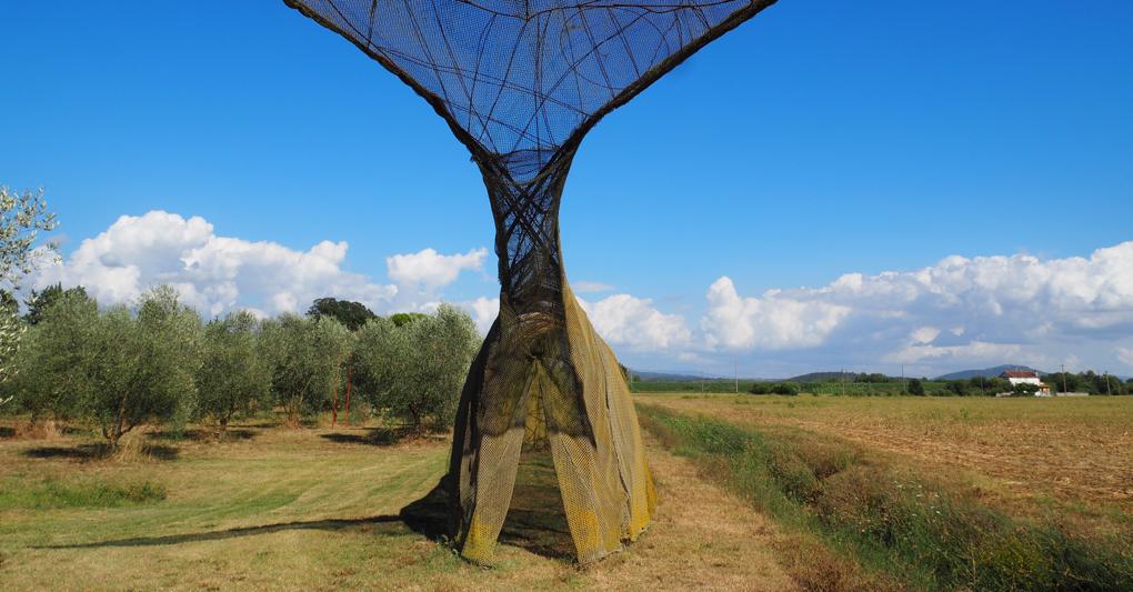 Il Podere Il Leccio 