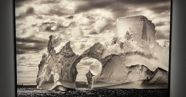 Penisola Antartica 2005, Aqua Mater, Sebastião Salgado (Foto Erika Scafuro)