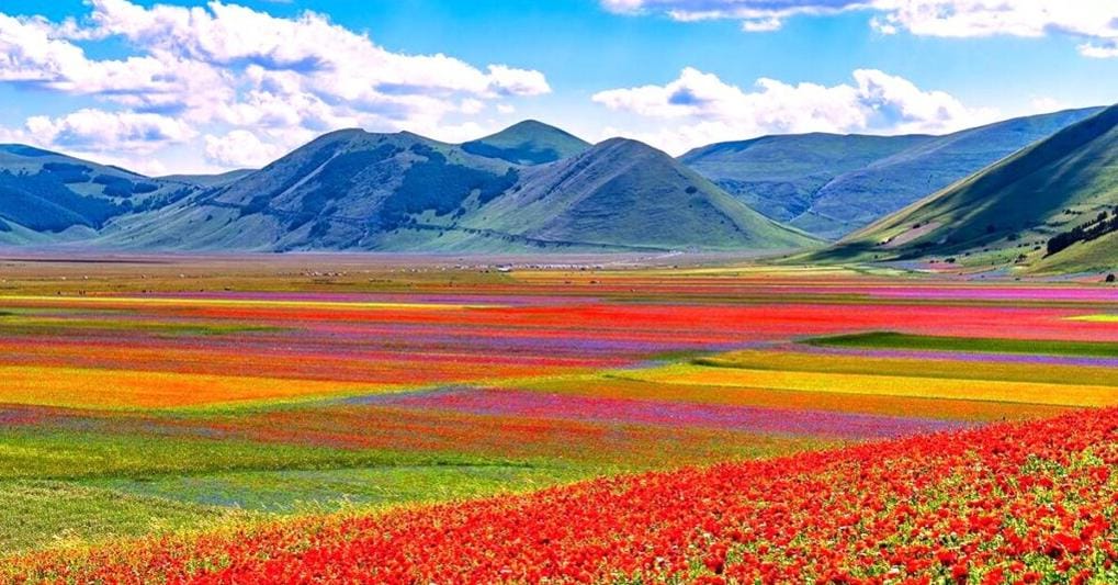 https://i2.res.24o.it/images2010/Editrice/ILSOLE24ORE/ILSOLE24ORE/Online/Immagini/ArticleGallery/Viaggi/2024/07/Ritagli/umbriafioritura-castelluccio-2023-feat-1024x573-krNE--1020x533%40IlSole24Ore-Web.jpg