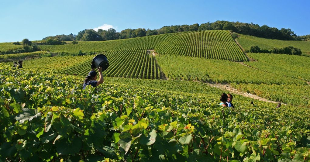 Tra l’Alsazia e il Grand Est alla scoperta della bella Avenue de Champagne