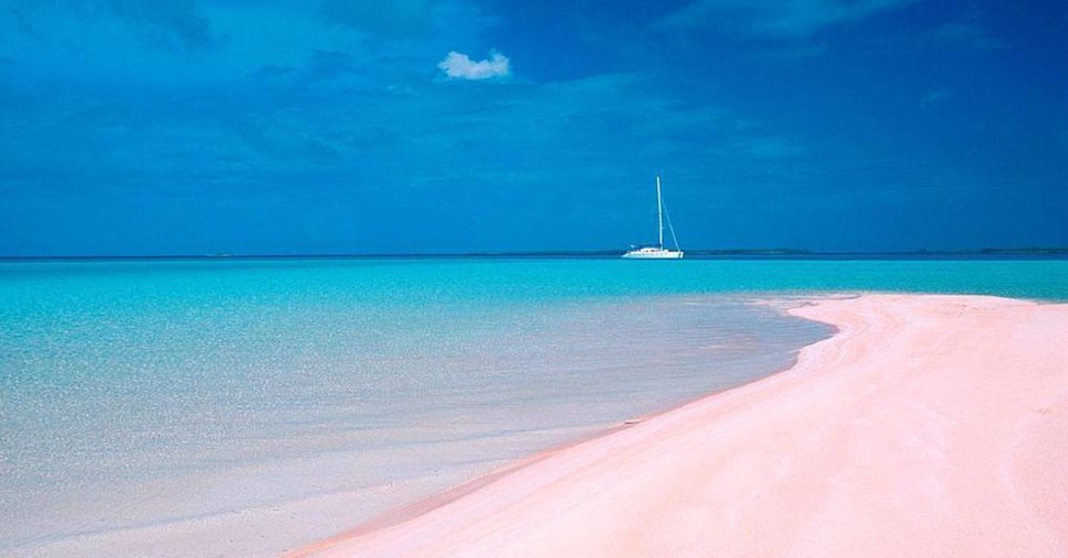 Baie, scogliere e mare cristallino: ecco dove trovare la spiaggia dei propri sogni Baie, scogliere e mare cristallino: ecco dove trovare la spiaggia dei propri sogni