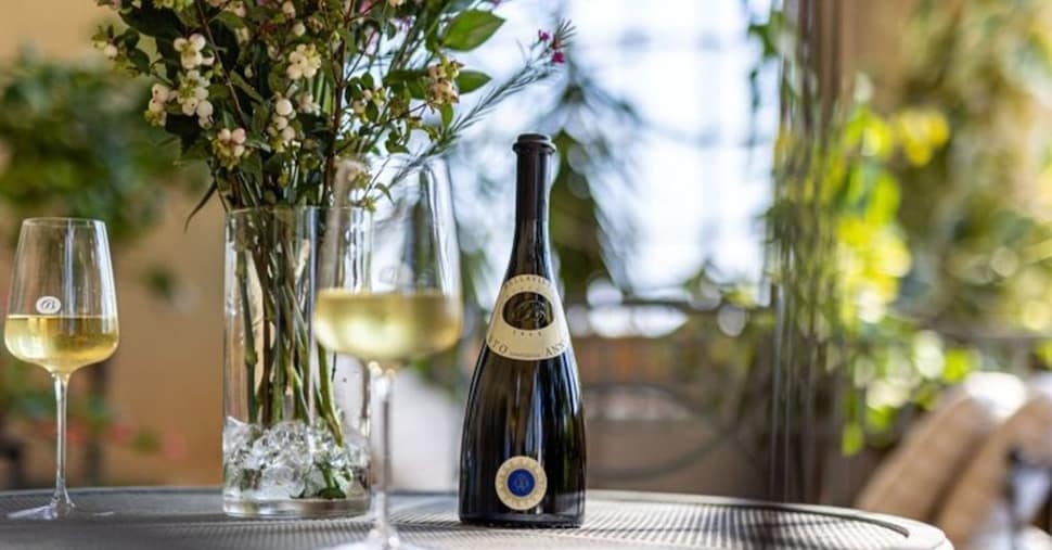 Dalle cantine alle abbazie, Franciacorta da scoprire in tutte le stagioni Dalle cantine alle abbazie, Franciacorta da scoprire in tutte le stagioni