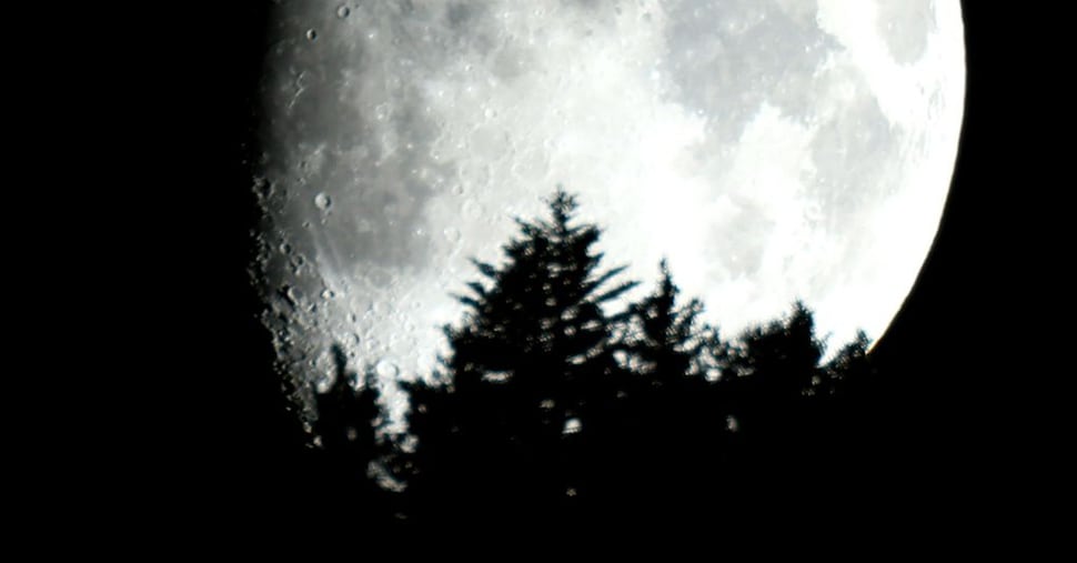 Notti estive: dieci luoghi dove vivere La Luna del Cervo