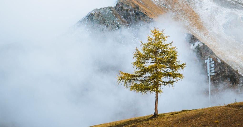 https://i2.res.24o.it/images2010/Editrice/ILSOLE24ORE/ILSOLE24ORE/Online/Immagini/ArticleGallery/Viaggi/2025/10/Ritagli/1%20_%20Pila-U42014183806WSb-1020x533@IlSole24Ore-Web.jpg