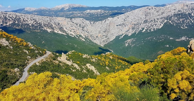 Un paesaggio della Barbagia amato da Grazia Deledda