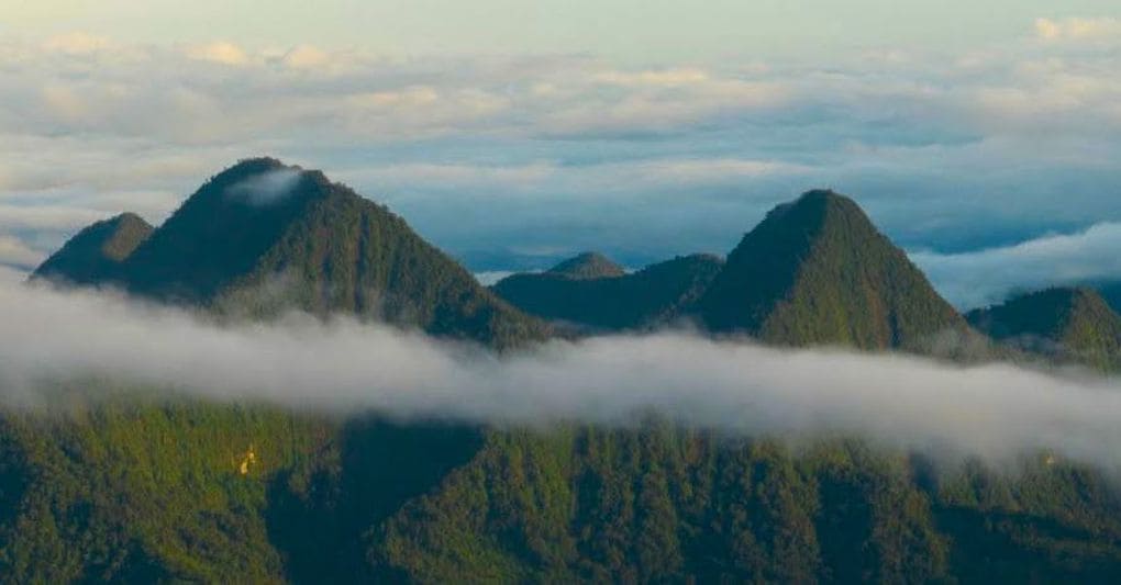 Avventura e natura nell’Amazzonia dell’Ecuador tra Indios, orchidee e animali rari Avventura e natura nell’Amazzonia dell’Ecuador tra Indios, orchidee e animali rari