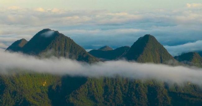 Il paesaggio dell’Amazzonia facente parte dell’Ecuador