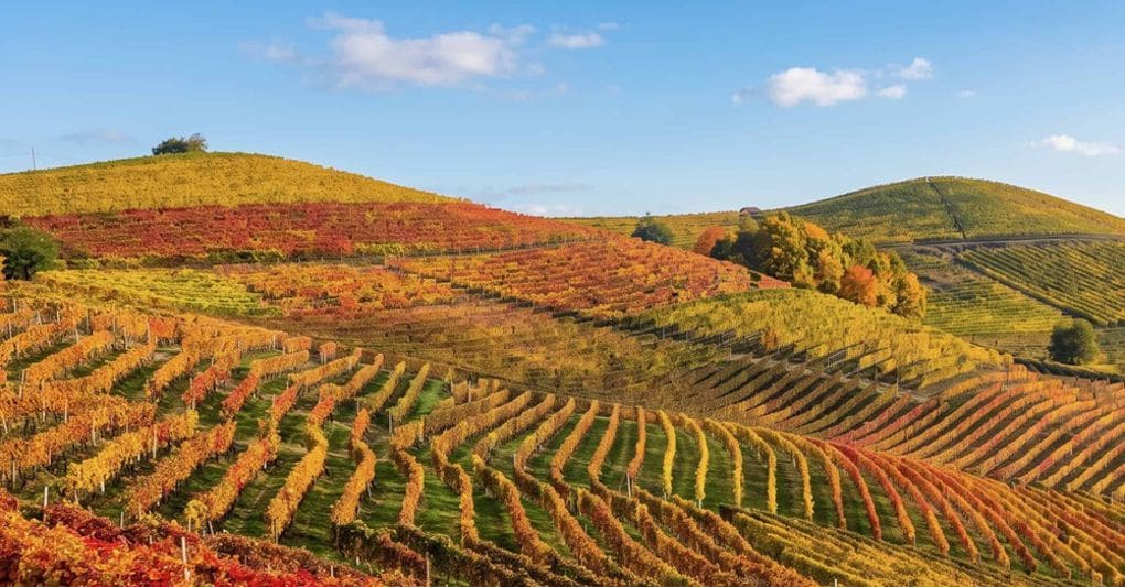 Dal Piemonte alla Valtellina: 10 mete fra foliage, cammini e tradizioni Dal Piemonte alla Valtellina: 10 mete fra foliage, cammini e tradizioni