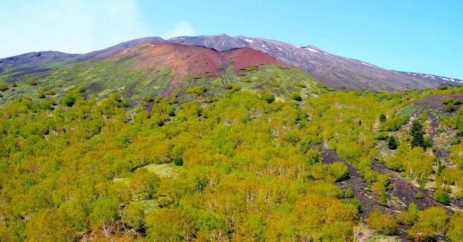 L’Etna e le sue pendici floreali