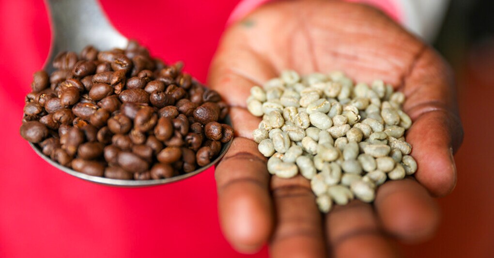 Fairtrade / Nyokabi Kahura / Fairpicture 