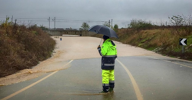 Il 23 e 24 novembre scorso il Piemonte è stato colto da un'ondata di maltempo: molti i danni ad abitazioni e aziende 