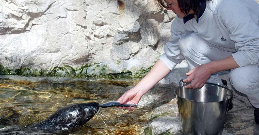 Acquario di Genova e Lurisia sono stati tra i protagonisti di operazioni di M&A o finanziarie nel 2019 