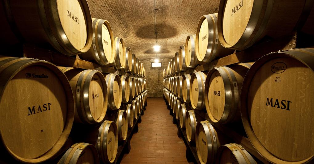Una veduta della cantina di Gargagna 