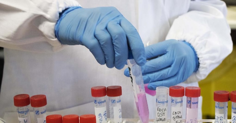 Tumori ereditari: in Italia oltre un milione a rischio, ma i test genetici non sono per tutti Tumori ereditari: in Italia oltre un milione a rischio, ma i test genetici non sono per tutti