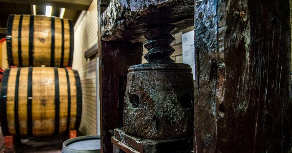 La coopertiva Cantina Tollo è tra i principali player del vino abruzzese  