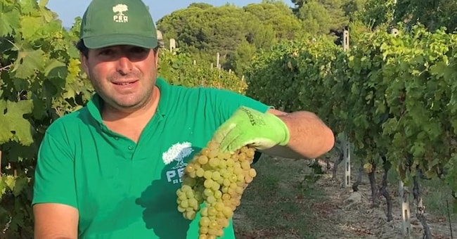 Marco Luzzati . Alla guida della Peq Agri, società italiana che fa parte di un gruppo internazionale