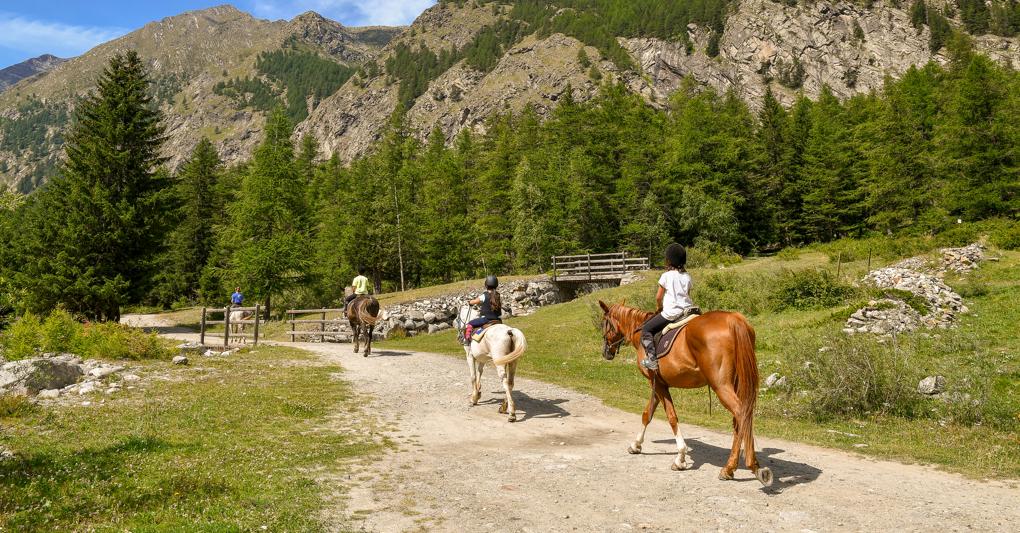 Green pass. I timori della vigilia legati a una possibile penalizzazione dovuta all'introduzione del green pass si sono poi rivelati infondati 