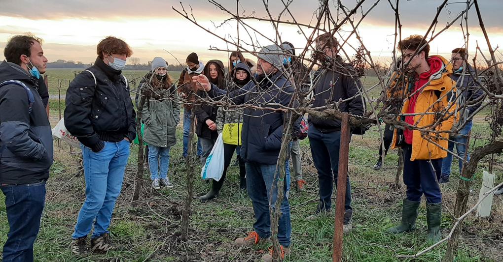  Gli studenti dell’Its Agroalimentare del Veneto durante un’esperienza a diretto contatto con la produzione agricola 