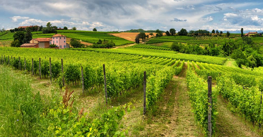  Sono molto richieste le case in campagna in tutto il territorio di Langhe, Roero e Monferrato, in particolare da acquirenti del Nord Europa e Stati Uniti 