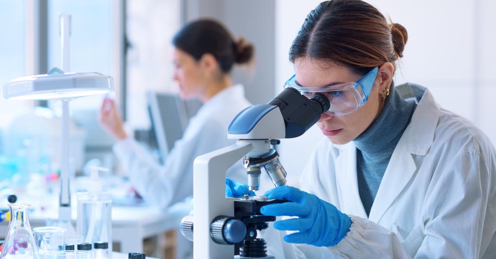 L'incubatore. Nel segmento della sanità, l'impegno è rivolto alla ricerca: Friulia mette a disposizione il Bic di Trieste, favorendo la creazione di un polo del Bio HighTech 