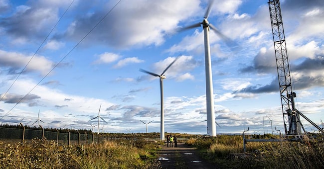 Campo di pale eoliche speciali dell'azienda britannica Act Blade