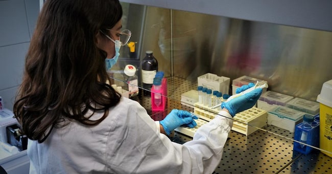  Nel laboratorio si analizzano campioni e si fa ricerca