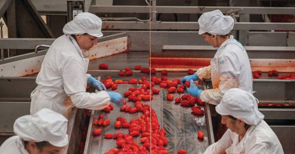  Il gruppo Rosso Gargano di Foggia delle famiglie De Maio e De Matteo ha investito 500mila euro per nuovi impianti nella Food valley  