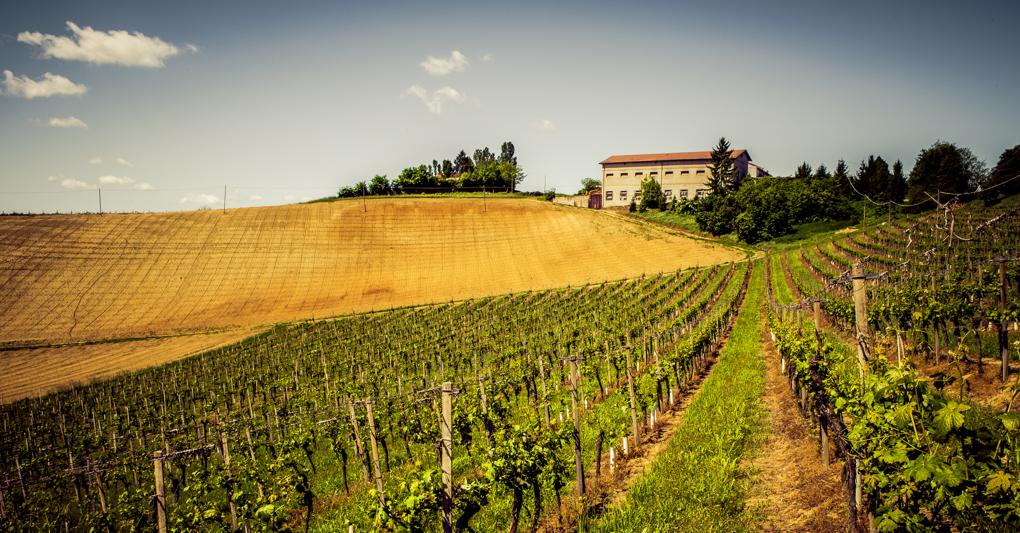 Patrimonio Unesco. Per i vignaioli vanno trovate soluzioni tecniche e tecnologiche efficienti che consentano di salvaguardare la viticoltura nelle  colline, che sono patrimonio dell’Unesco 