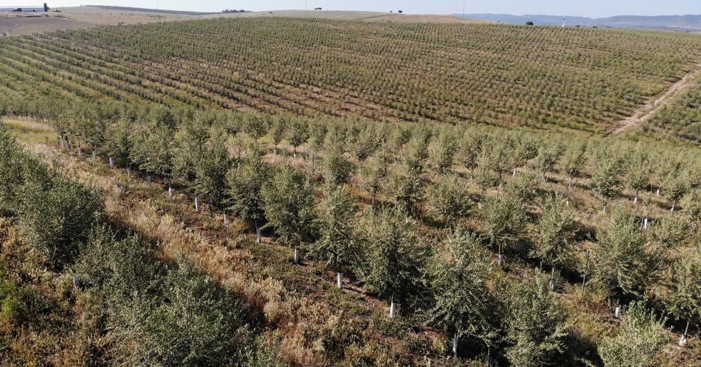 L’azienda. Una fase del processo produttivo nello stabilimento 