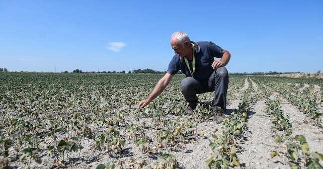 Cambiamento. I dati meteorologici non lasciano spazio a dubbi che l’Alto Piemonte e il Novarese siano soggetti a un vero e proprio cambiamento climatico. Le precipitazioni sono più concentrate, la neve è quasi sparita