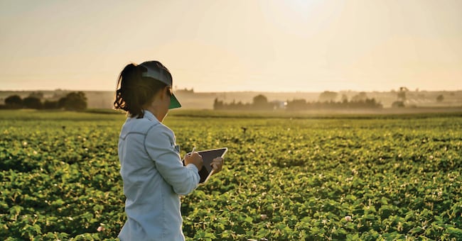 L’Agricoltura 4.0 e il settore biologico vedono il Centro Italia al top nella classifica nazionale per l’incidenza di questa specialità sulla superficie agricola utile