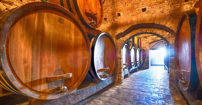 Secondo l’analisi del Centro Studi Management DiVino di Verona le cantine dovrebbero sviluppare attività di gestione finanziaria più professionali, alla caccia di rendimenti adeguati