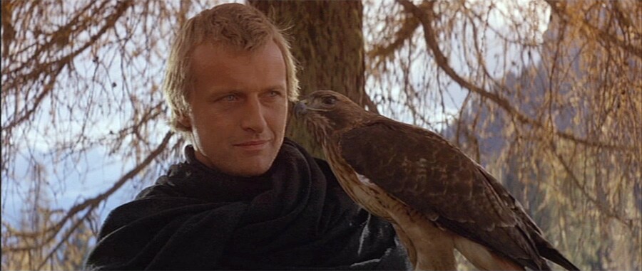 Rutger Hauer in Ladyhawke (1985) 