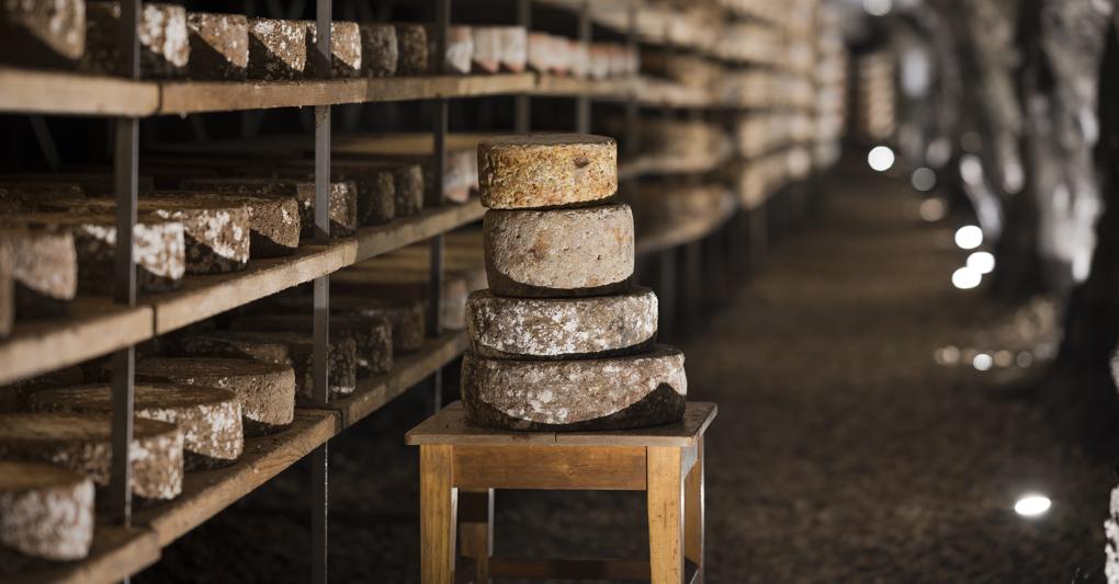 La cultura dei sapori.   il“bunker” dei formaggi di Hubert Stockner a San Lorenzo di Sebato, in Alto Adige. 