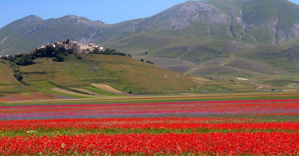 Castelluccio di Norcia (foto: castellucciodinorcia.it) 