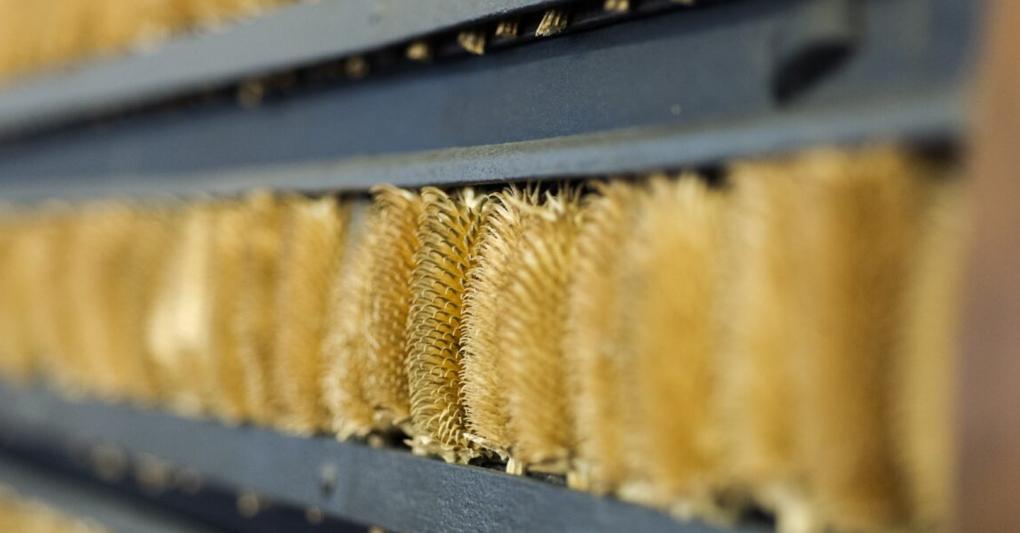 Cardatura da Piacenza Cashmere 1733 