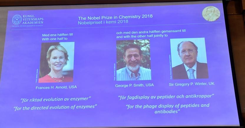 Arnold, Smith e Winter vincono il Nobel per la chimica 2018
