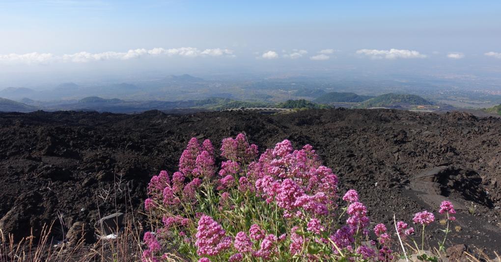 Il Fascino Dell Etna In Bicicletta Ma Tutta La Sicilia Si Visita Su Due Ruote Il Sole 24 Ore